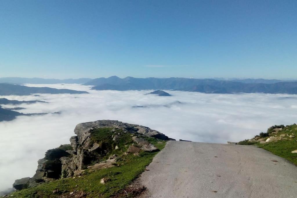 Gite Individuel Au Pays Basque A 1,5Km De St-Jean-Pied-De-Port Saint-Jean-Pied-de-Port Exteriör bild